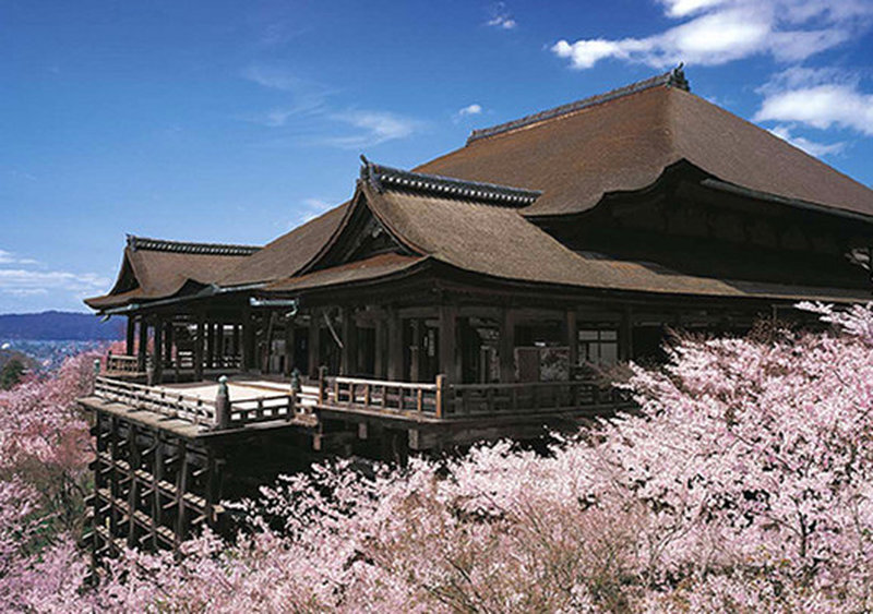 清水寺 清水舞台 吉野櫻